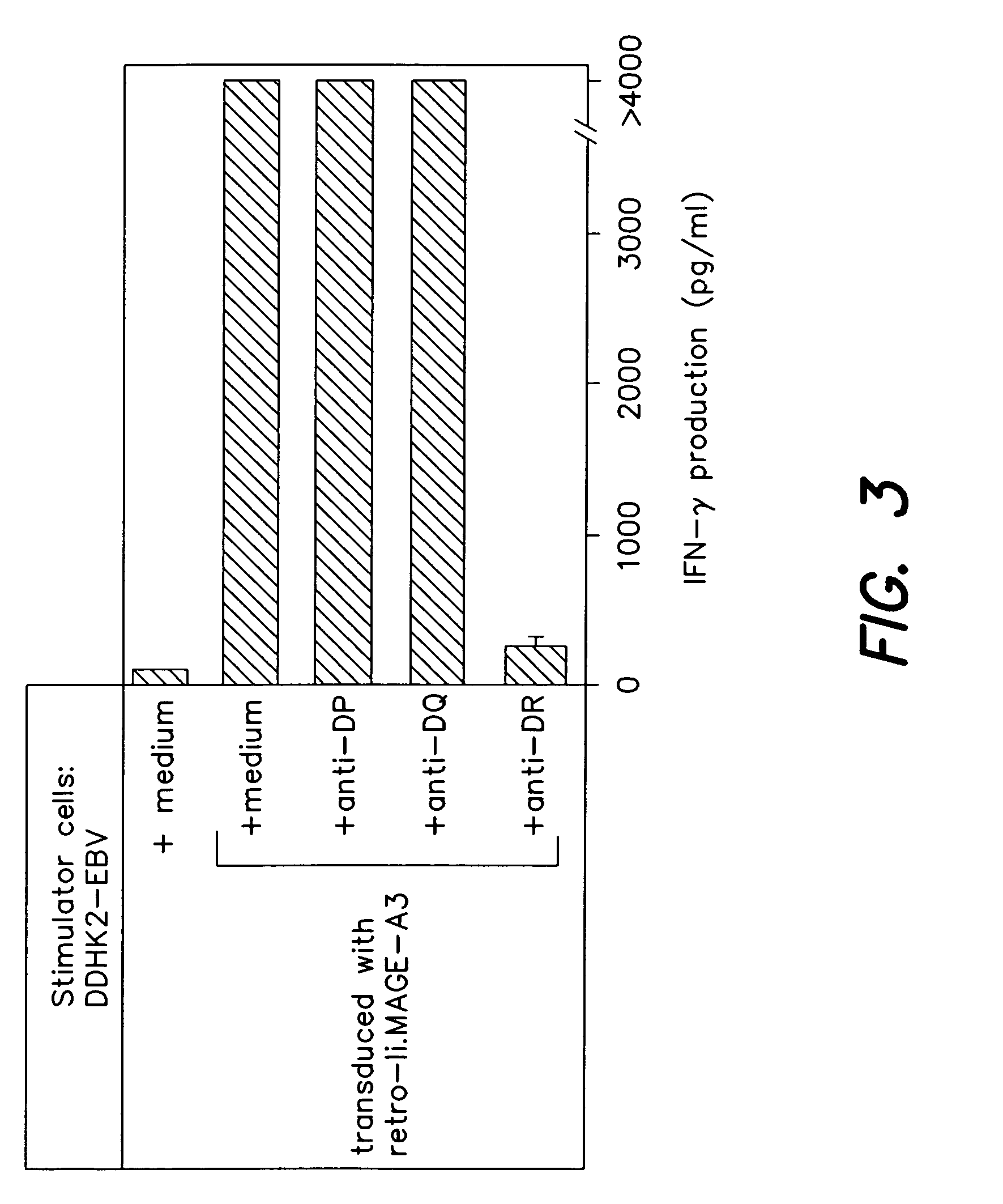 MAGE-A3 peptides presented by HLA class II molecules