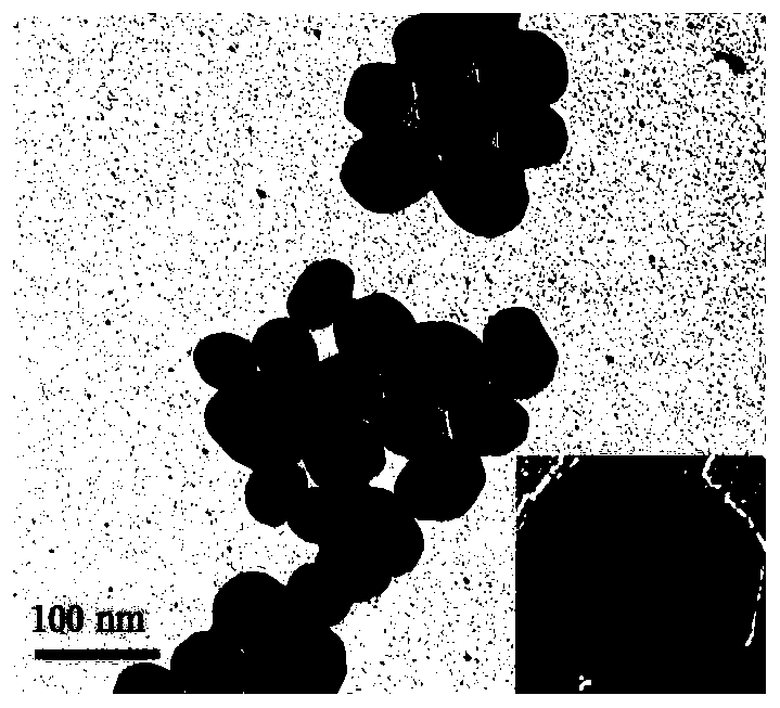 Method for detecting tyramine content in aquatic products based on azo coupling reaction and surface enhanced resonance Raman scattering