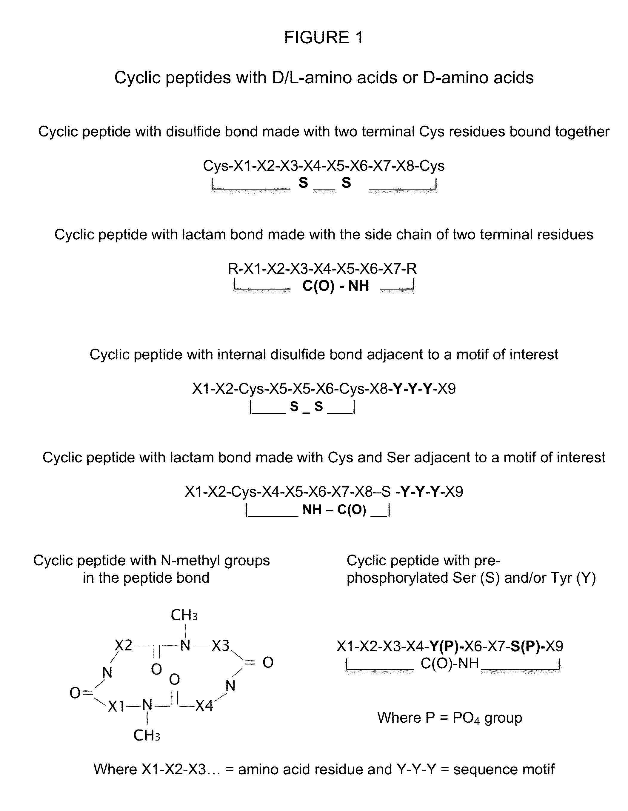 Stereoisomer peptides, their polymer conjugates, their encapsulation into nanoparticles, and uses thereof for the treatment of diseases caused by abnormal angiogenesis.