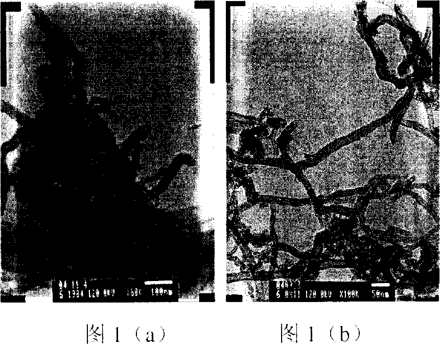 Natural liquid rubber slurry with added carbon nanotube and its prepn process