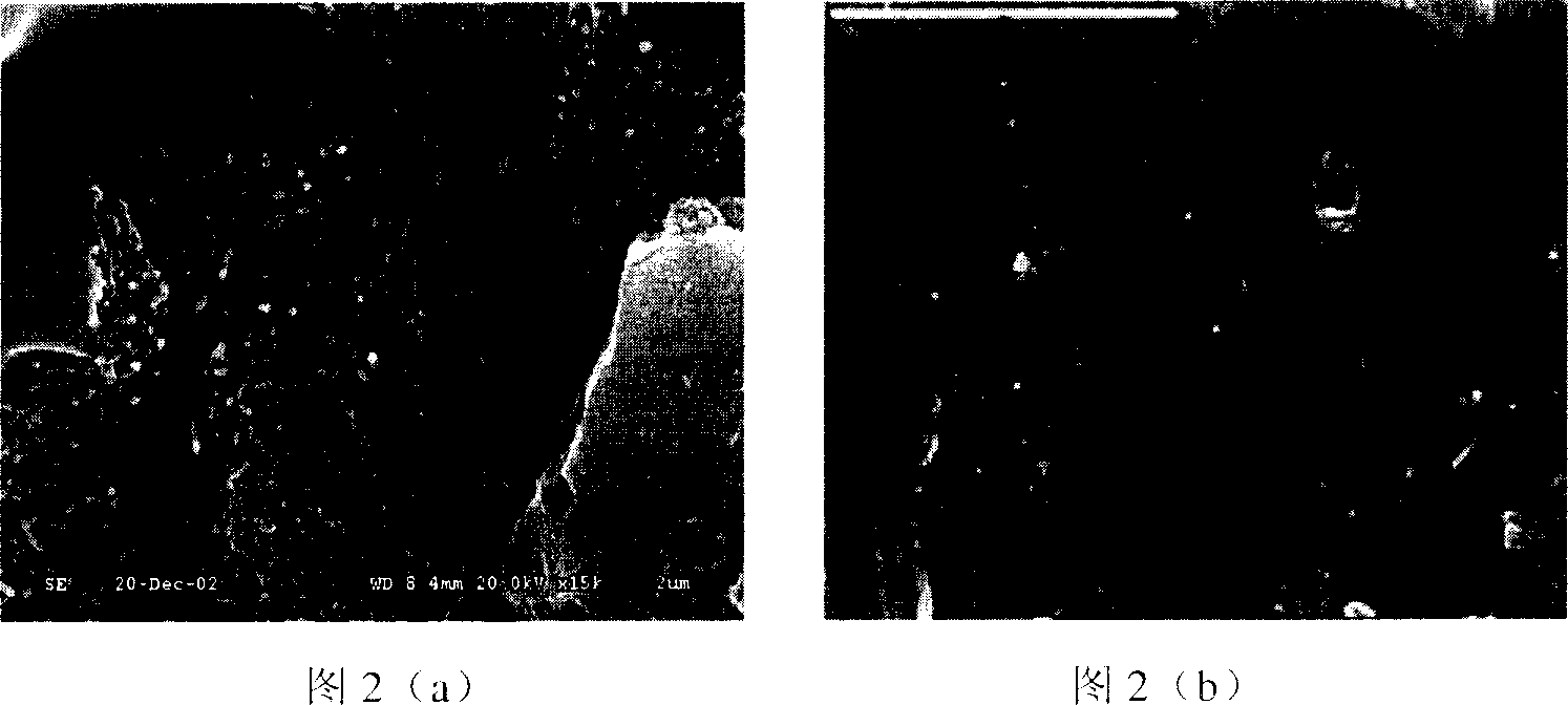 Natural liquid rubber slurry with added carbon nanotube and its prepn process