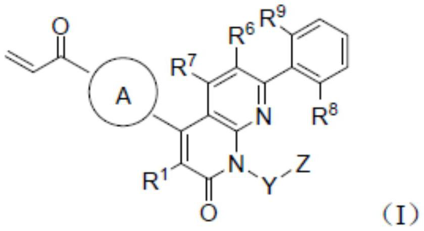 KRAS G12C inhibitor and application thereof