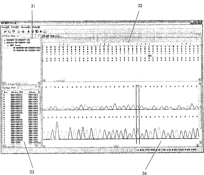 Method and system for implementing typing based on polymerase chain reaction sequencing