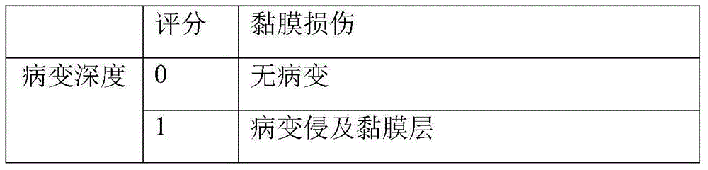 Compound medicine for ulcerative colitis enema treatment and preparation method and application thereof