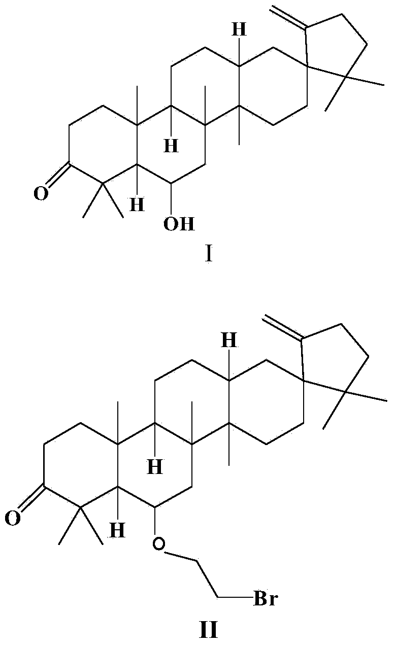 Application of Cleistanone O-(morpholinyl)ethyl derivative in preparation of antibacterial drugs