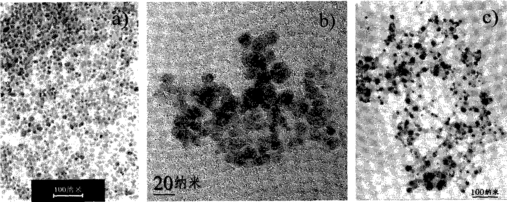 Amido modified magnetic nano-particle and method for preparing immune magnetic nano-separation agent