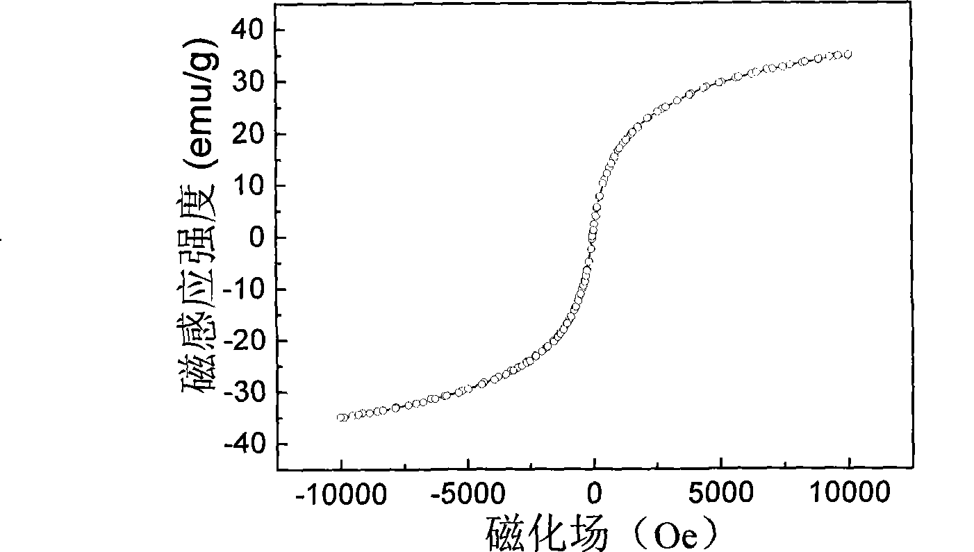 Amido modified magnetic nano-particle and method for preparing immune magnetic nano-separation agent