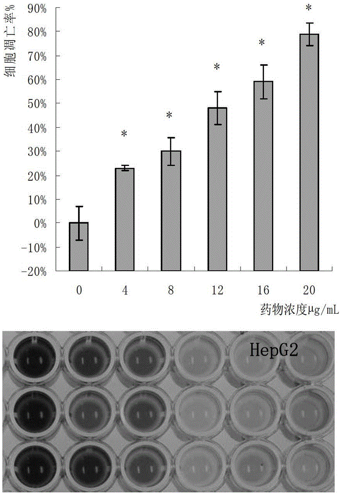 Pycnporus cinnabarnus protein extract and anti-tumor application thereof