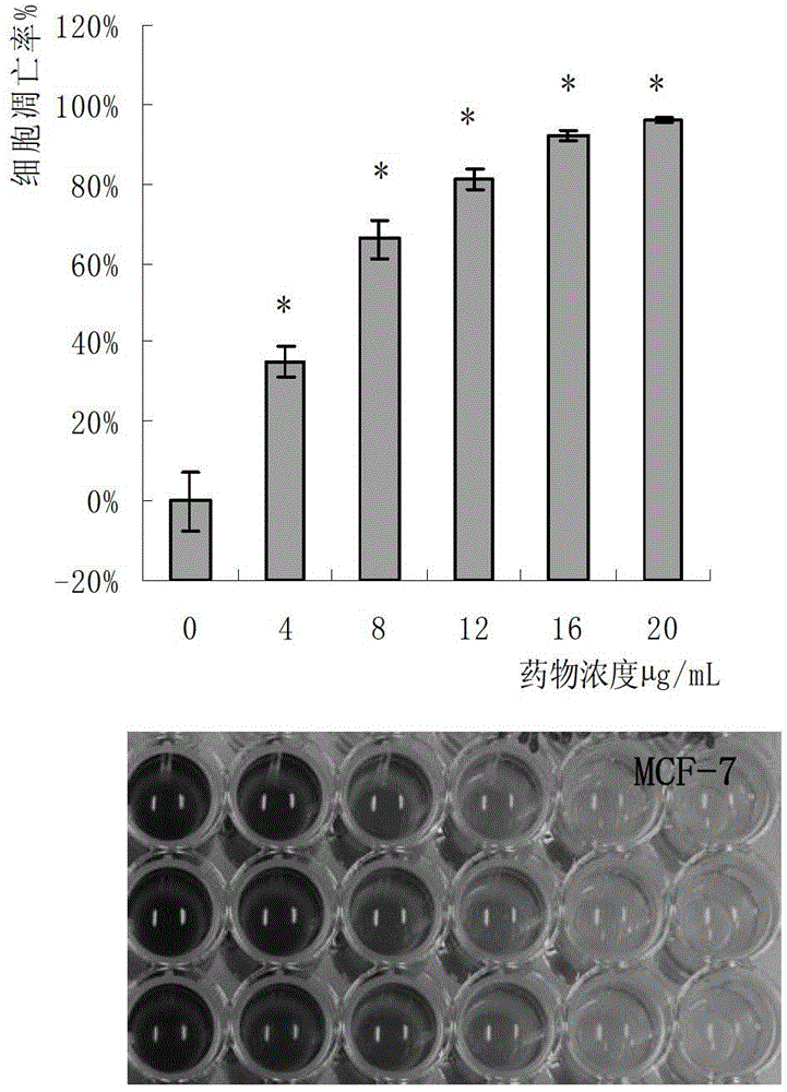 Pycnporus cinnabarnus protein extract and anti-tumor application thereof