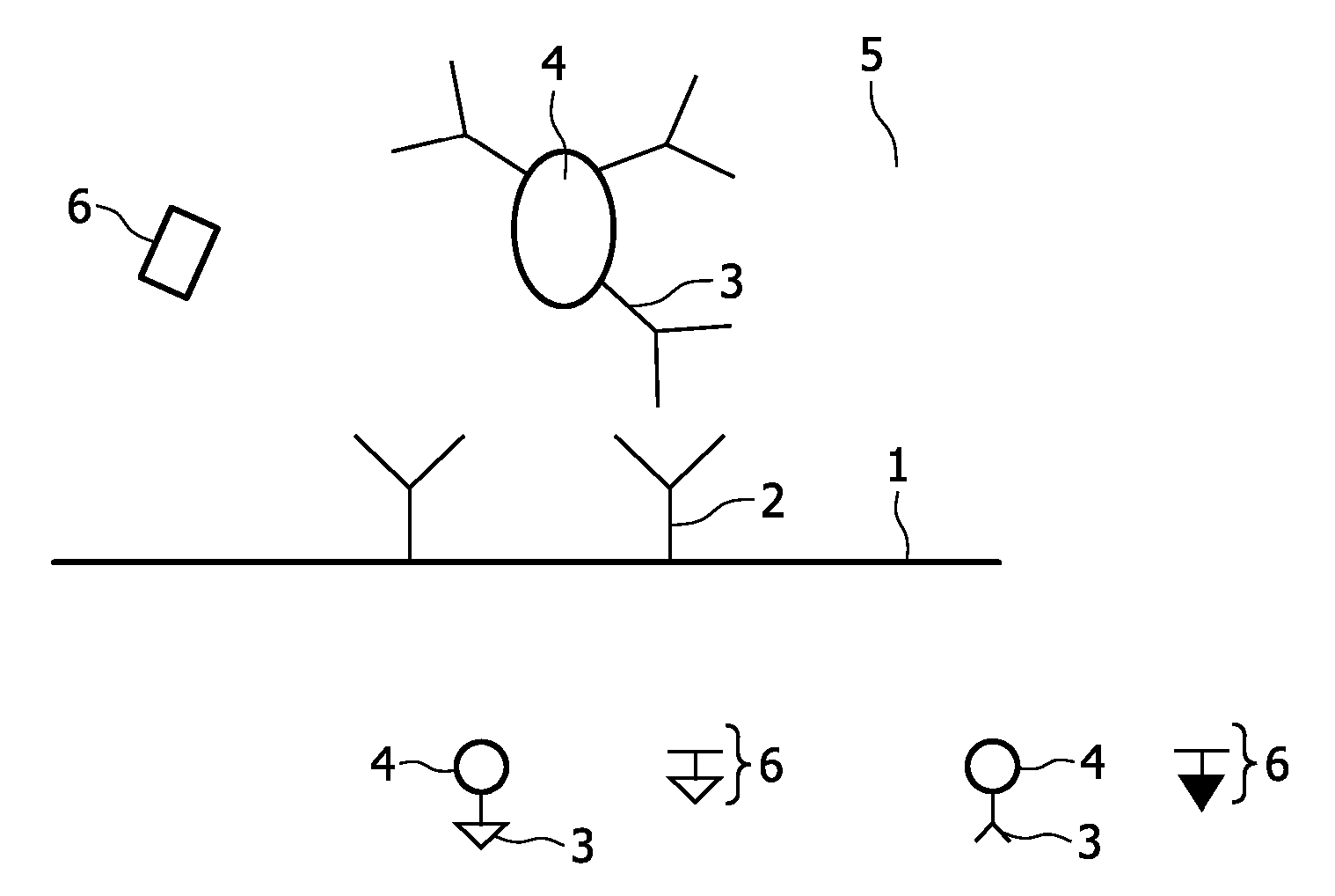 Accurate magnetic biosensor