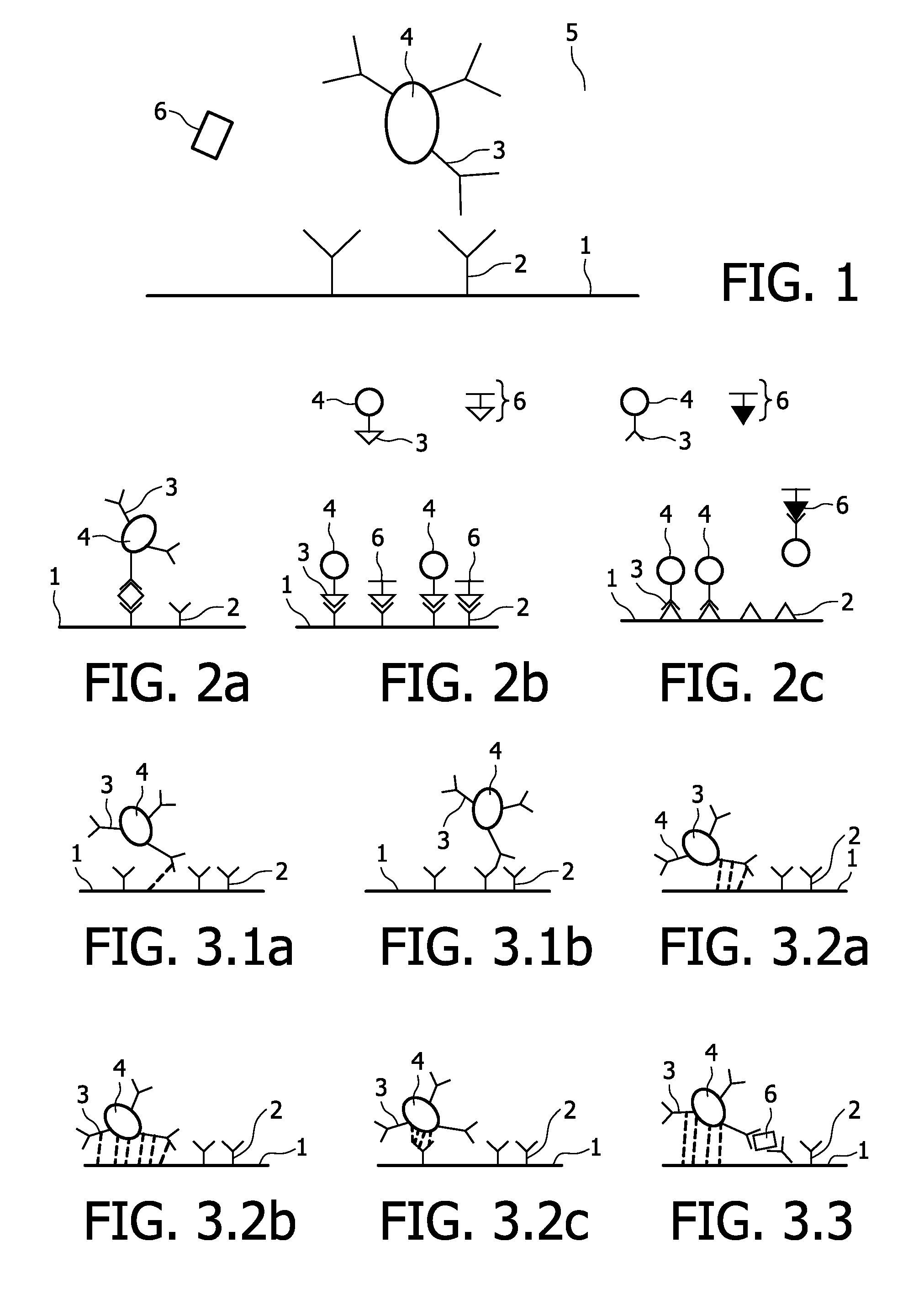 Accurate magnetic biosensor