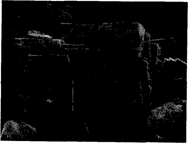 Method for preparing micro-fine and ultra-fine calcium carbonate of different crystal forms from carbide slag