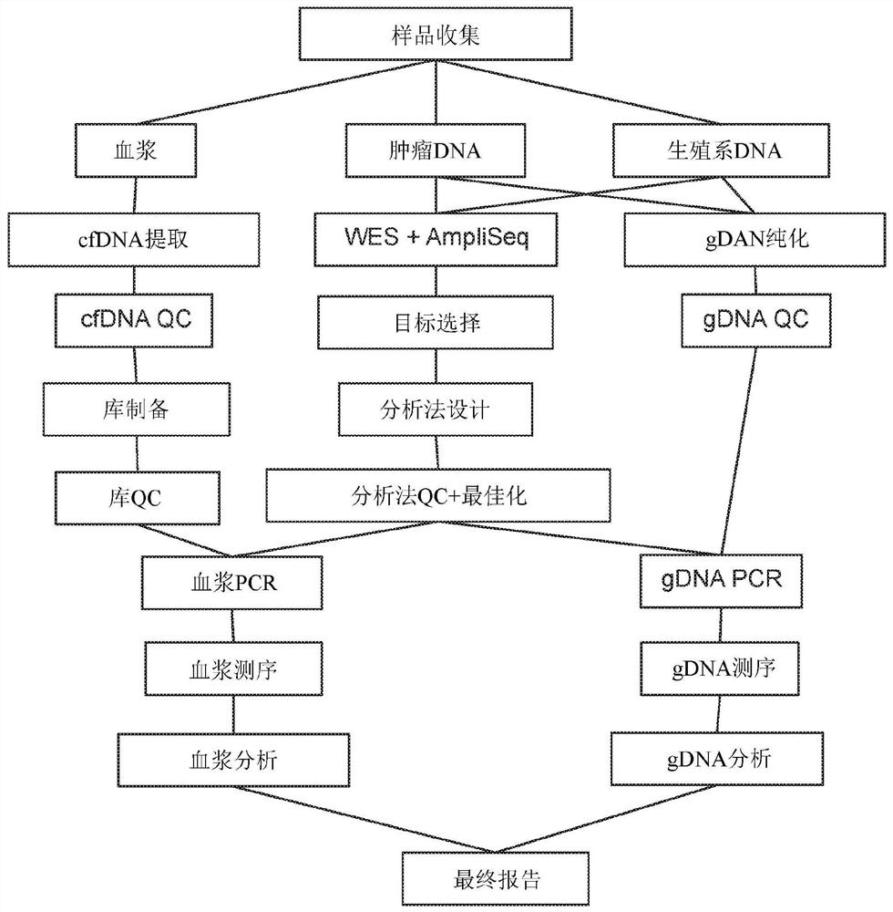 Methods for cancer detection and monitoring by means of personalized detection of circulating tumor DNA