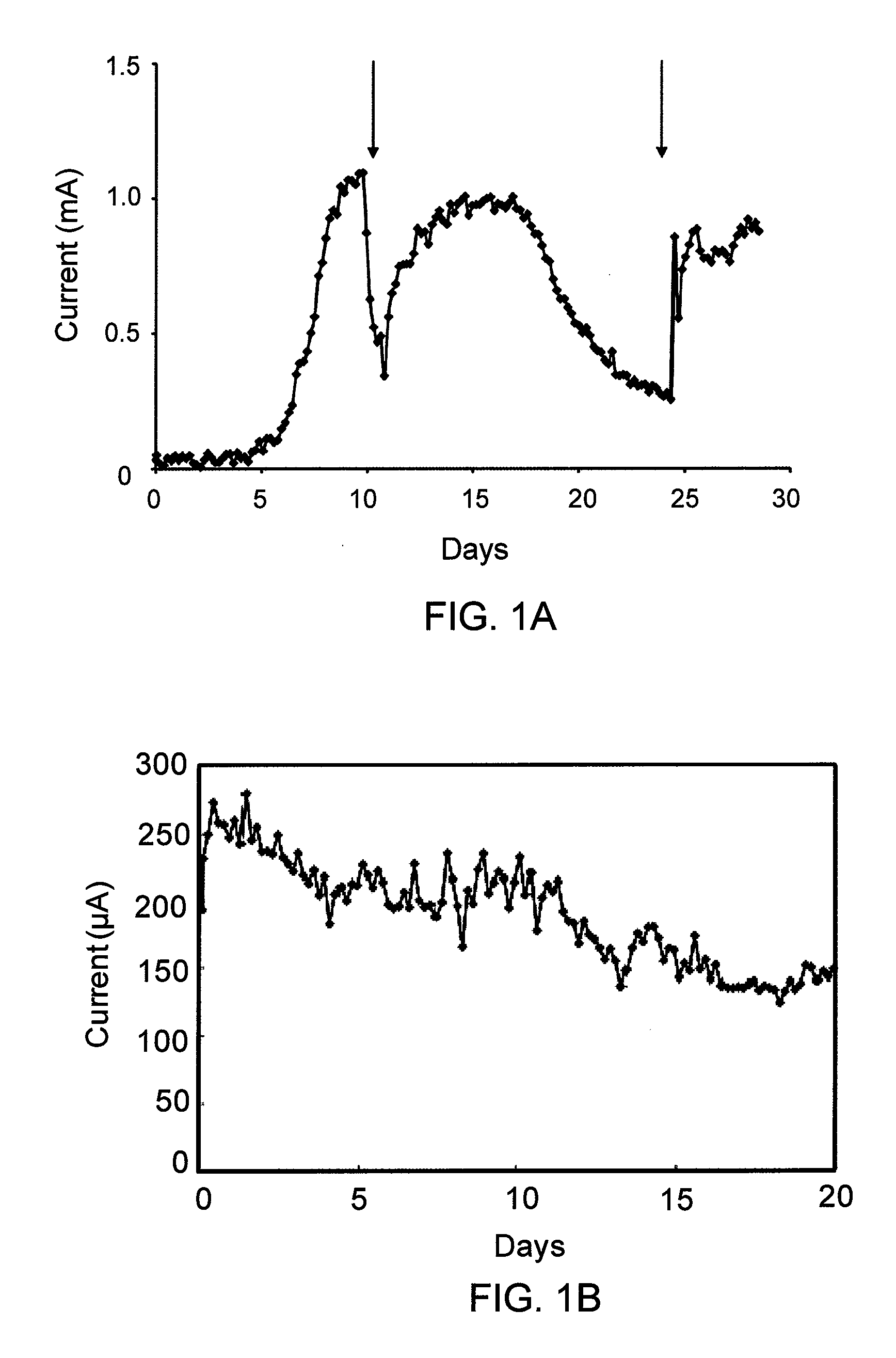 Systems and methods for microbial reductive dechlorination of environmental contaminants