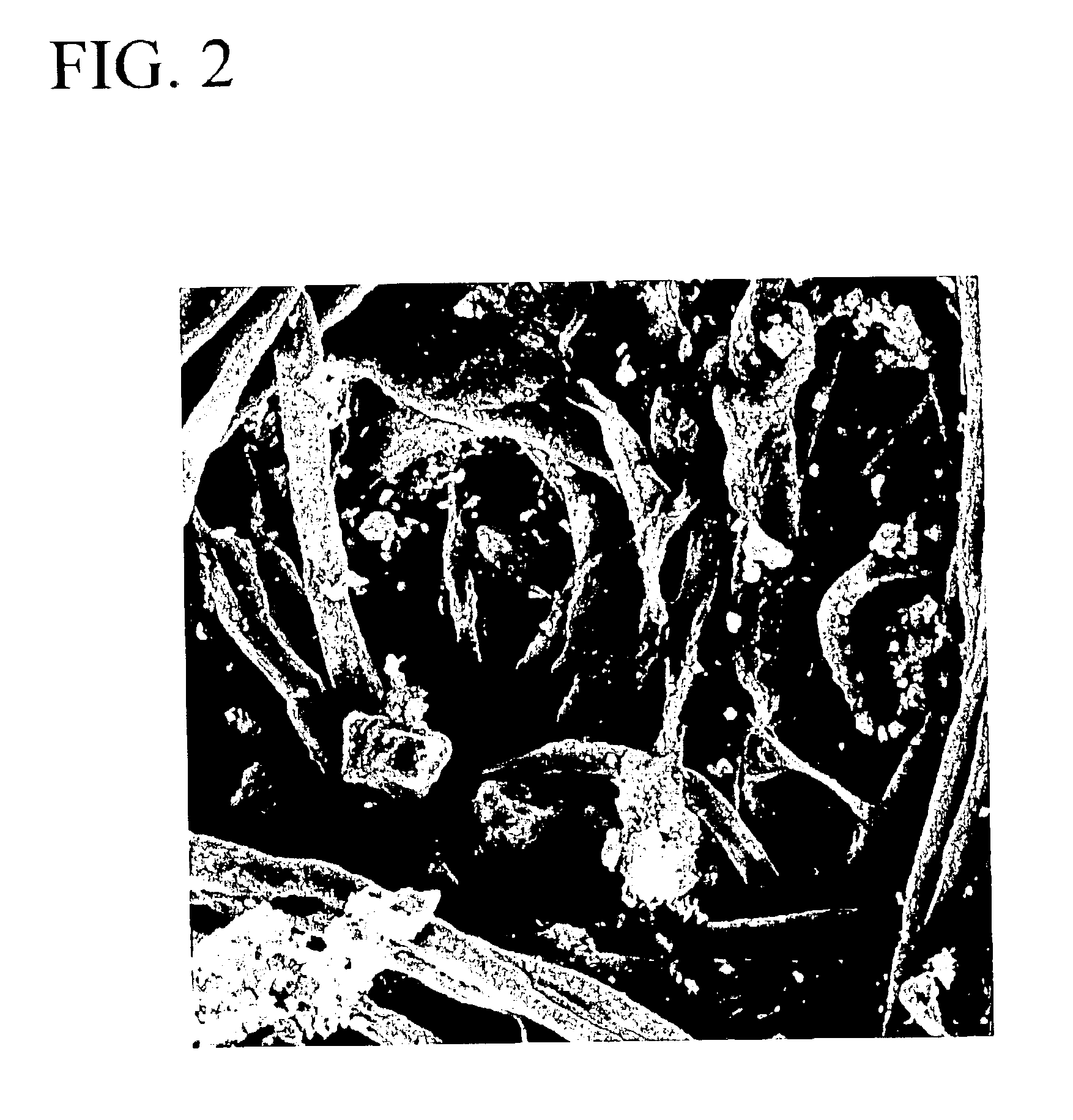 Motor vehicle filter structure having visual indicator of useful life