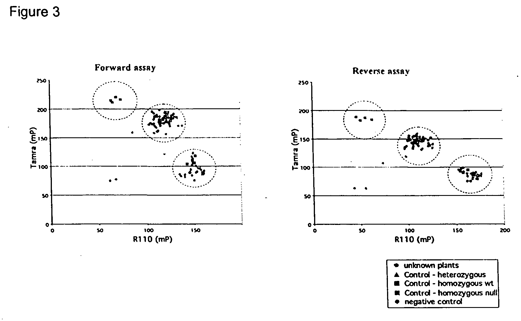 Compositions and methods for detecting a sequence mutation in the cinnamyl alcohol dehydrogenase gene associated with altered lignification in loblolly pine