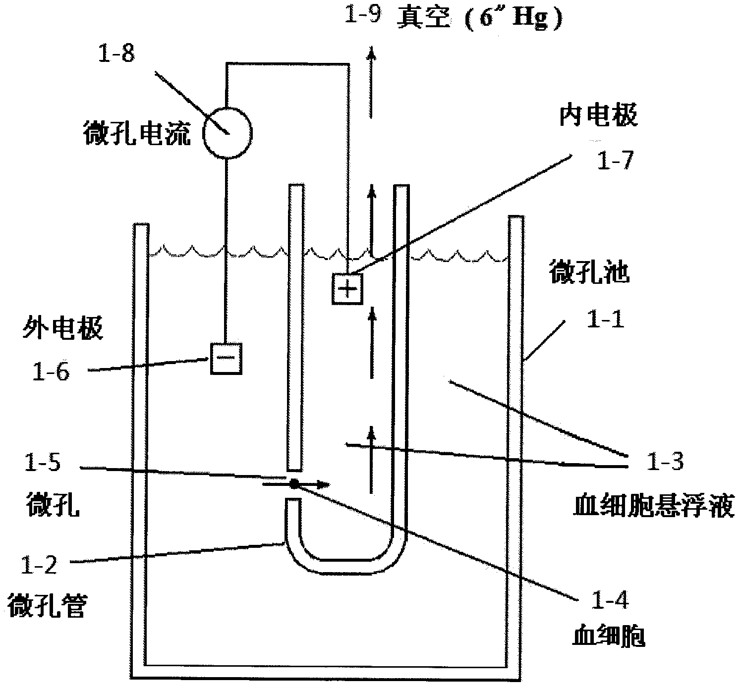 Flow cytometry device for no-flow type cytometry box and flow cytometry method thereof