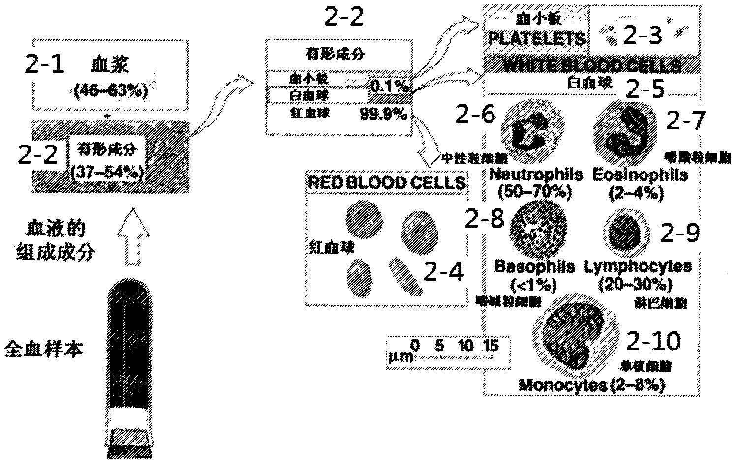 Flow cytometry device for no-flow type cytometry box and flow cytometry method thereof