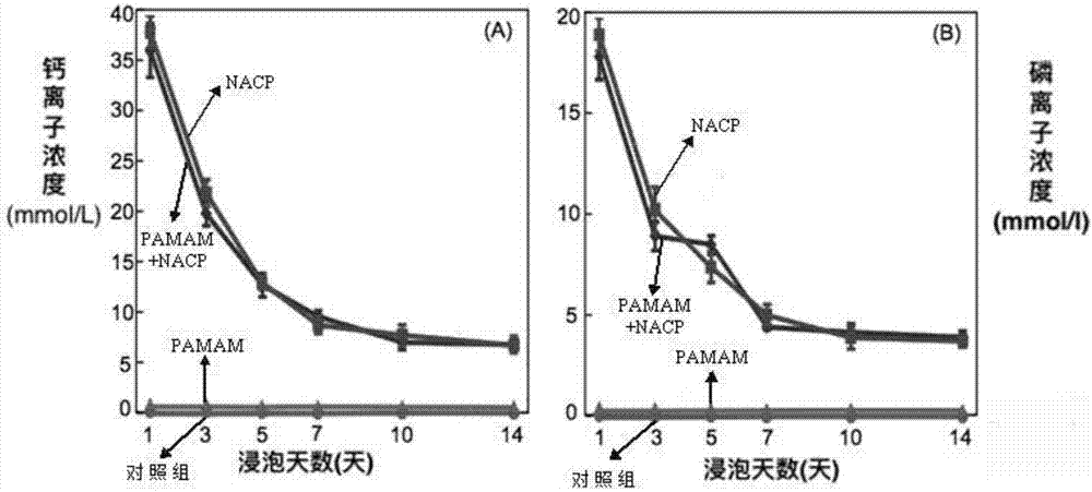 Binder used for simulating aptyalia pathological oral environment and application thereof