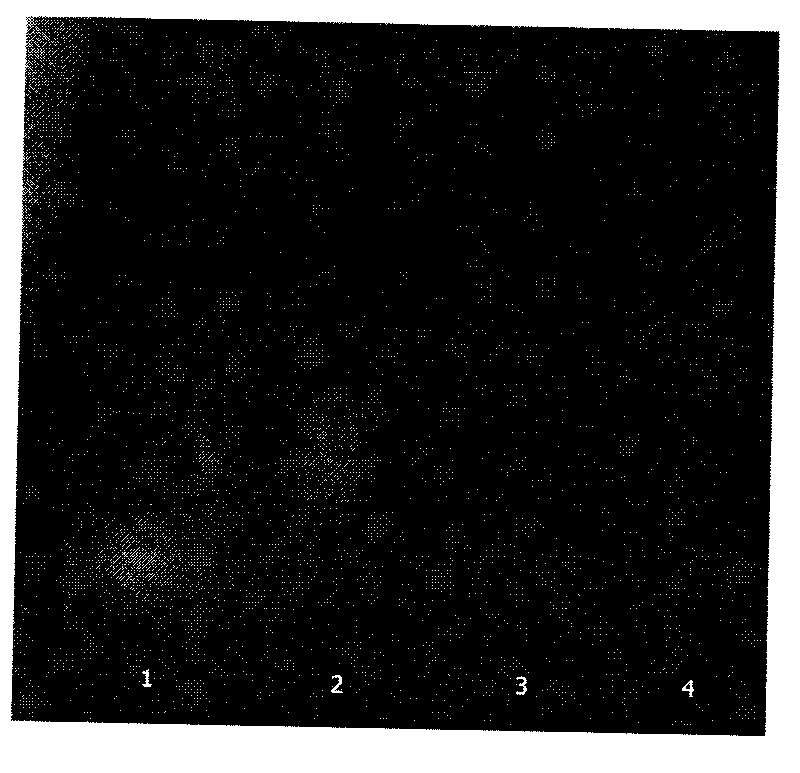 Lotus leaf extract, monomer component and application thereof