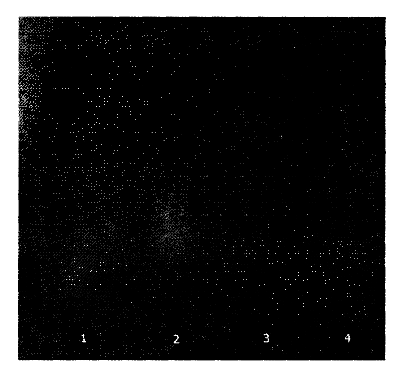 Lotus leaf extract, monomer component and application thereof