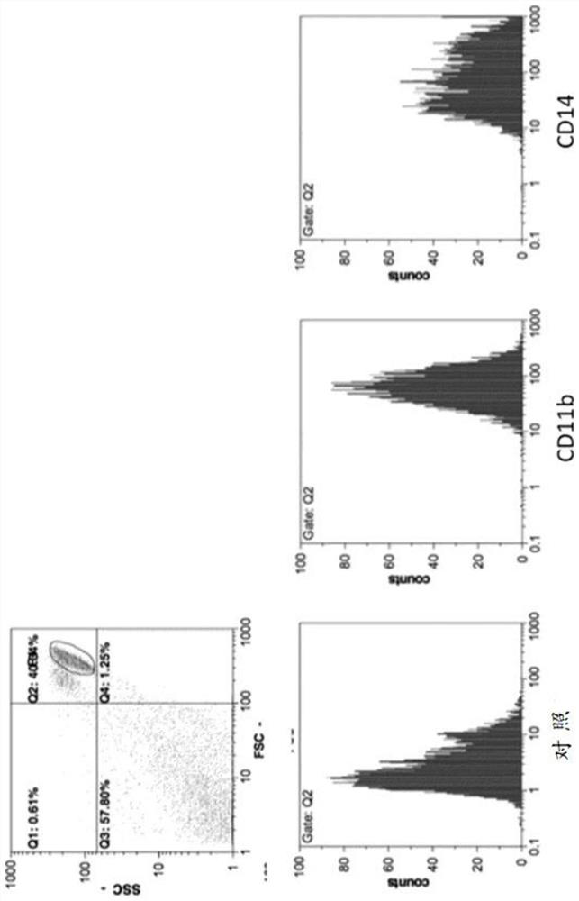 Method for evaluating Anti-infective drugs, vaccines, etc. using immortalized monocytic cells and induced cells