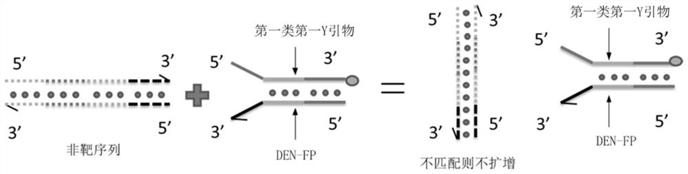 Primer probe combination, detection kit and application of detection kit