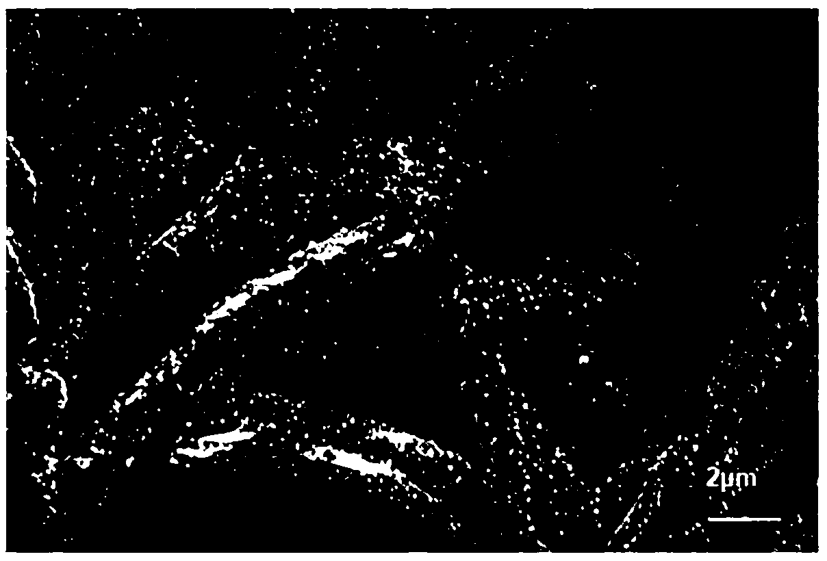 Composite gold nano material for pesticide residue detection and preparation method thereof