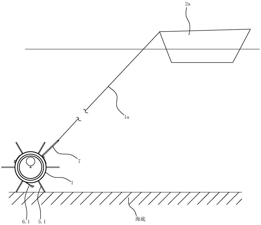 Suspended Seedling Release Device