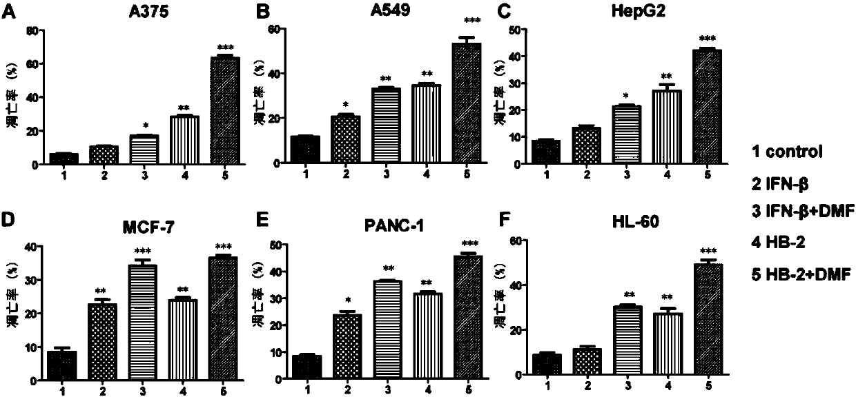 Application of quinoid chalcone compound in preparation of antitumor drugs