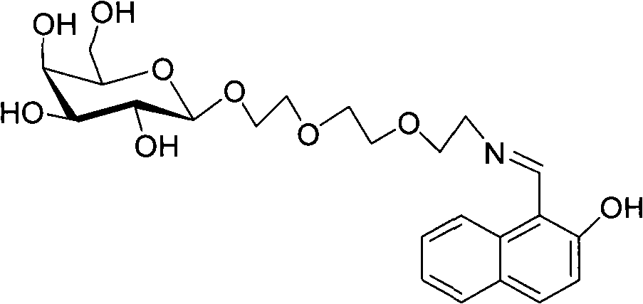 Preparation of water-soluble fluorescence probe and rapid detection of iron ion by use of the same