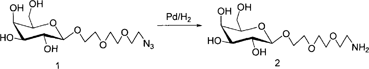 Preparation of water-soluble fluorescence probe and rapid detection of iron ion by use of the same