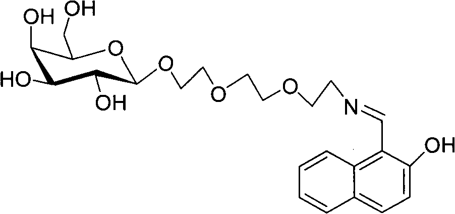 Preparation of water-soluble fluorescence probe and rapid detection of iron ion by use of the same