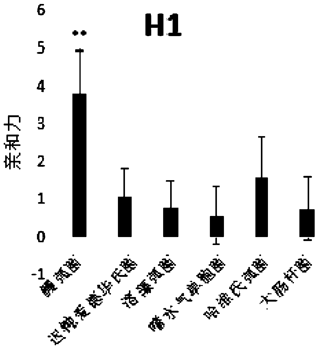 Four sets of oligonucleotide sequences for recognition and identification of vibrio anguillarum, and screening method of oligonucleotide sequences