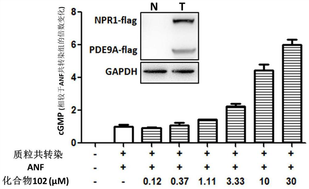 Use of phosphodiesterase inhibitor