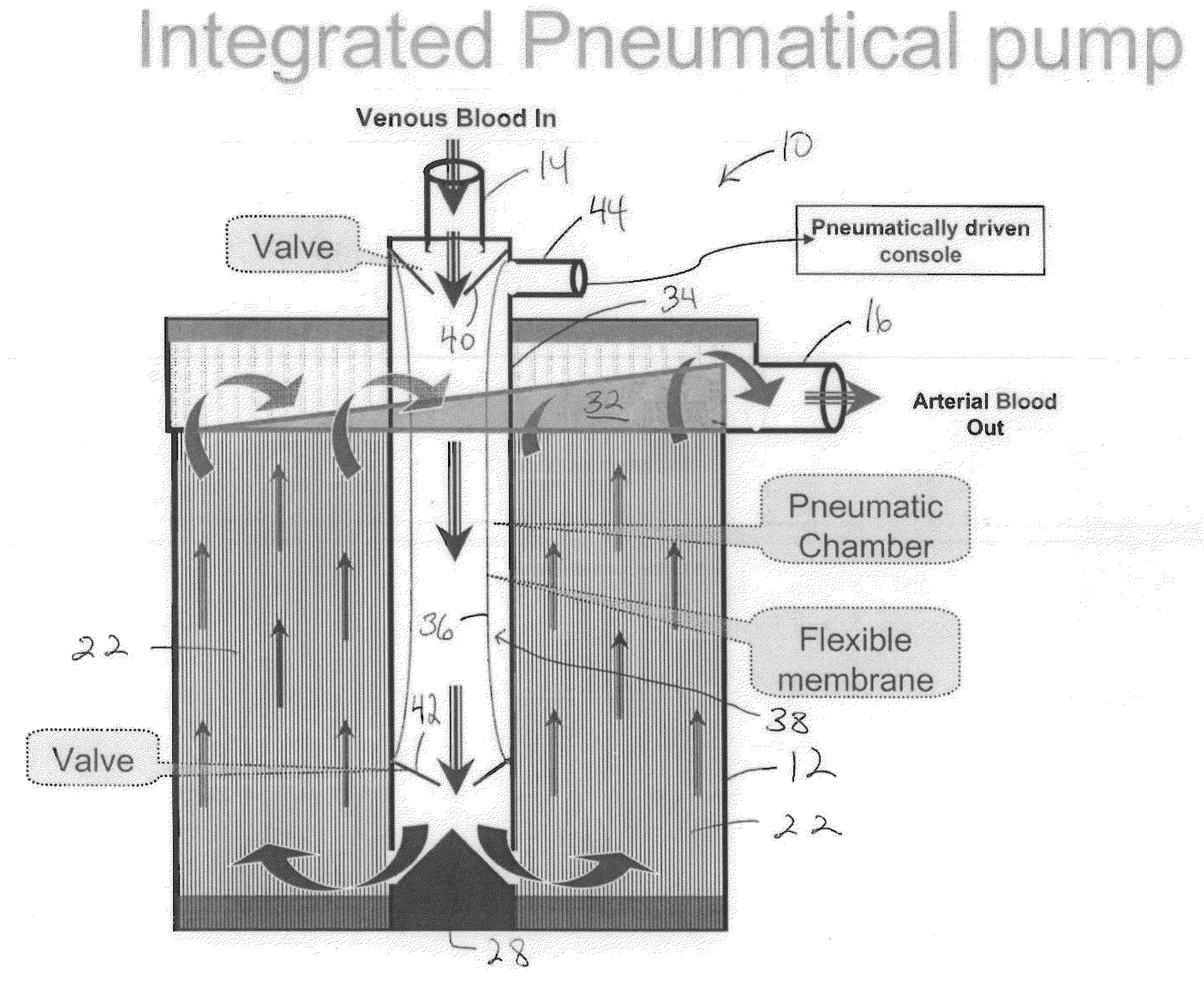 Even perfusion pump-integrated blood oxygenator