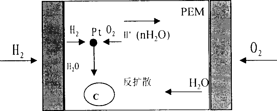 Process for preparing self-humidifying composite proton exchange film for fuel cell