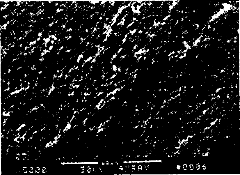 Process for preparing self-humidifying composite proton exchange film for fuel cell