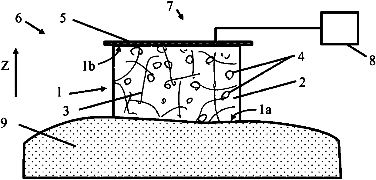 Polymer composition and electrode for device for non-invasive measurement of biological electrical signals