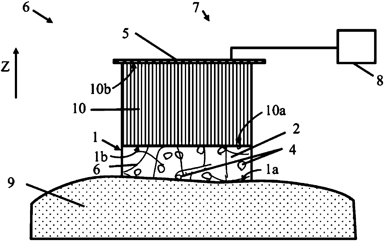 Polymer composition and electrode for device for non-invasive measurement of biological electrical signals