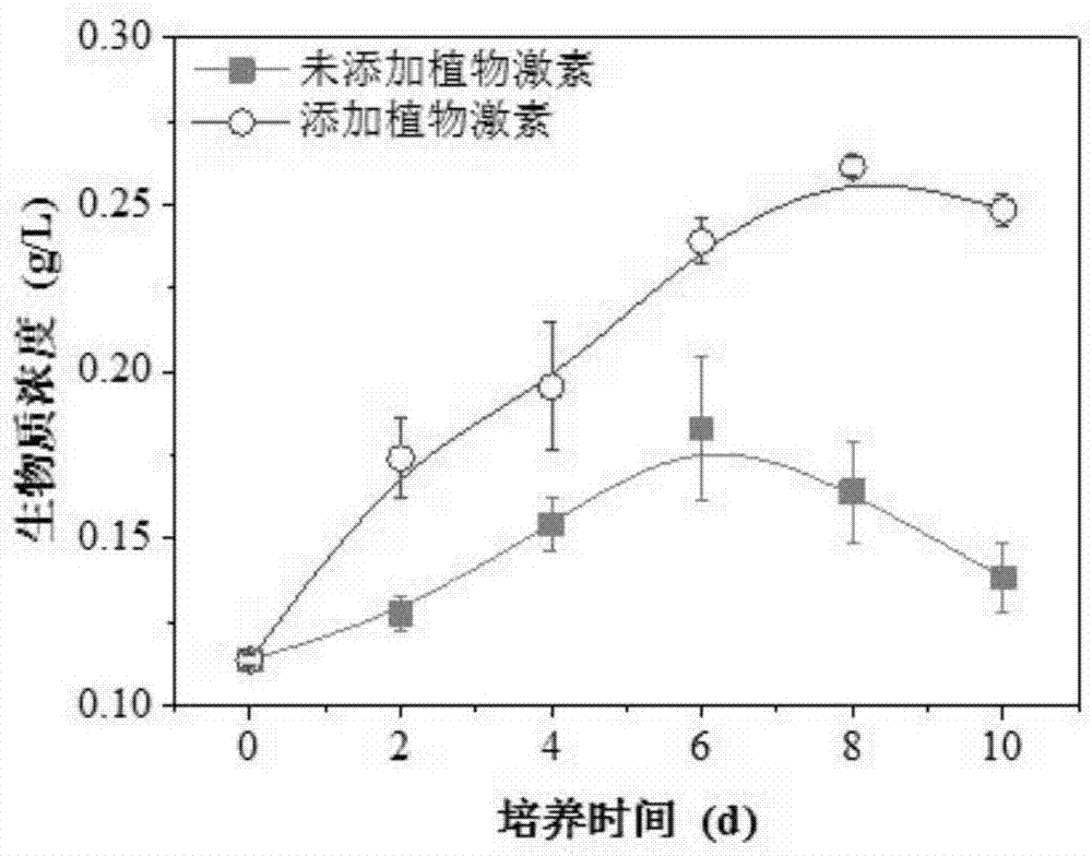 Method for promoting accumulation of oil in microalgae and keeping high biomass of microalgae