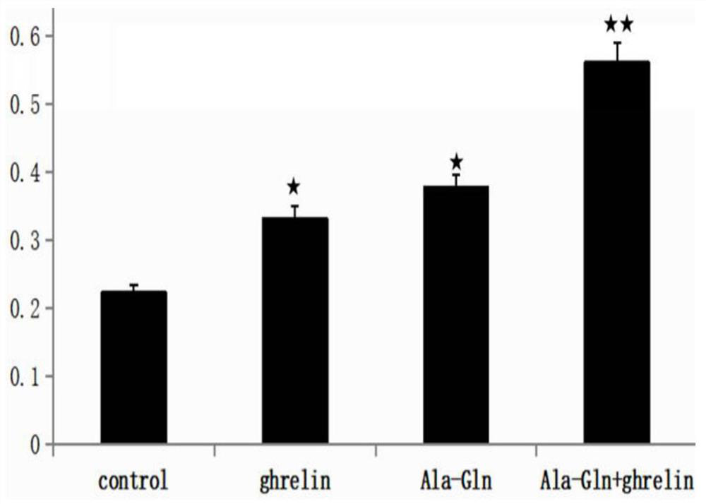 Establishment method and application of fish targeted gene nutrition regulation and control cell model