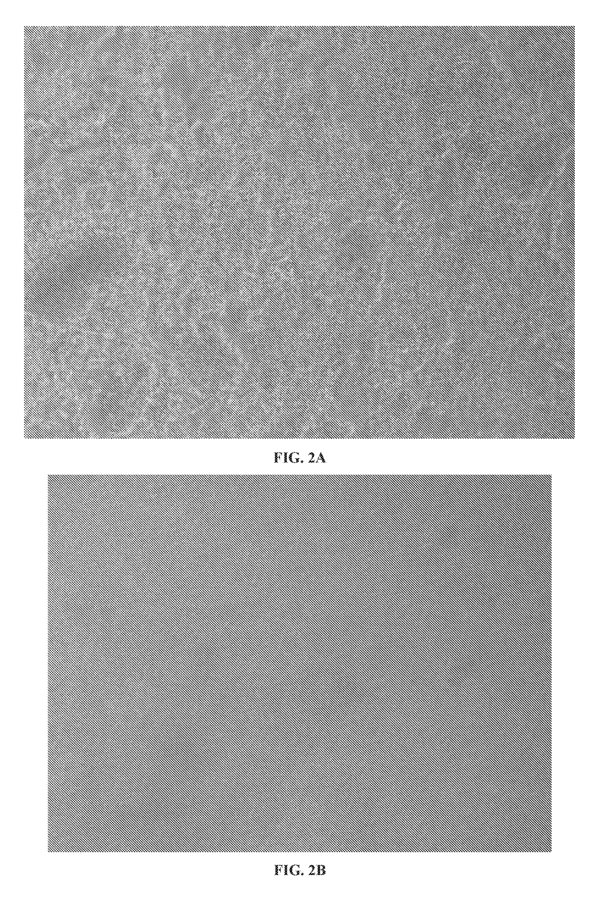 Compositions and methods for prolonged cell storage