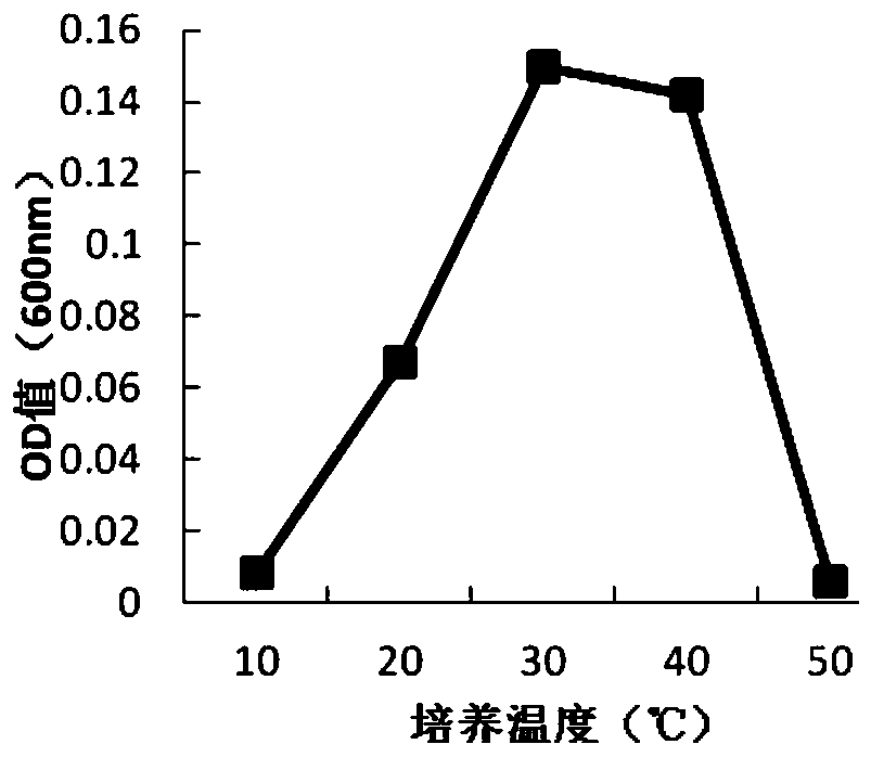 Paracoccus denitrificans and method for biological denitrification with combination of mineralized bed and paracoccus denitrificans