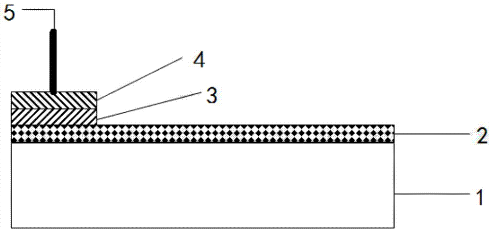 Diamond-based electrode material of seawater salinity sensor