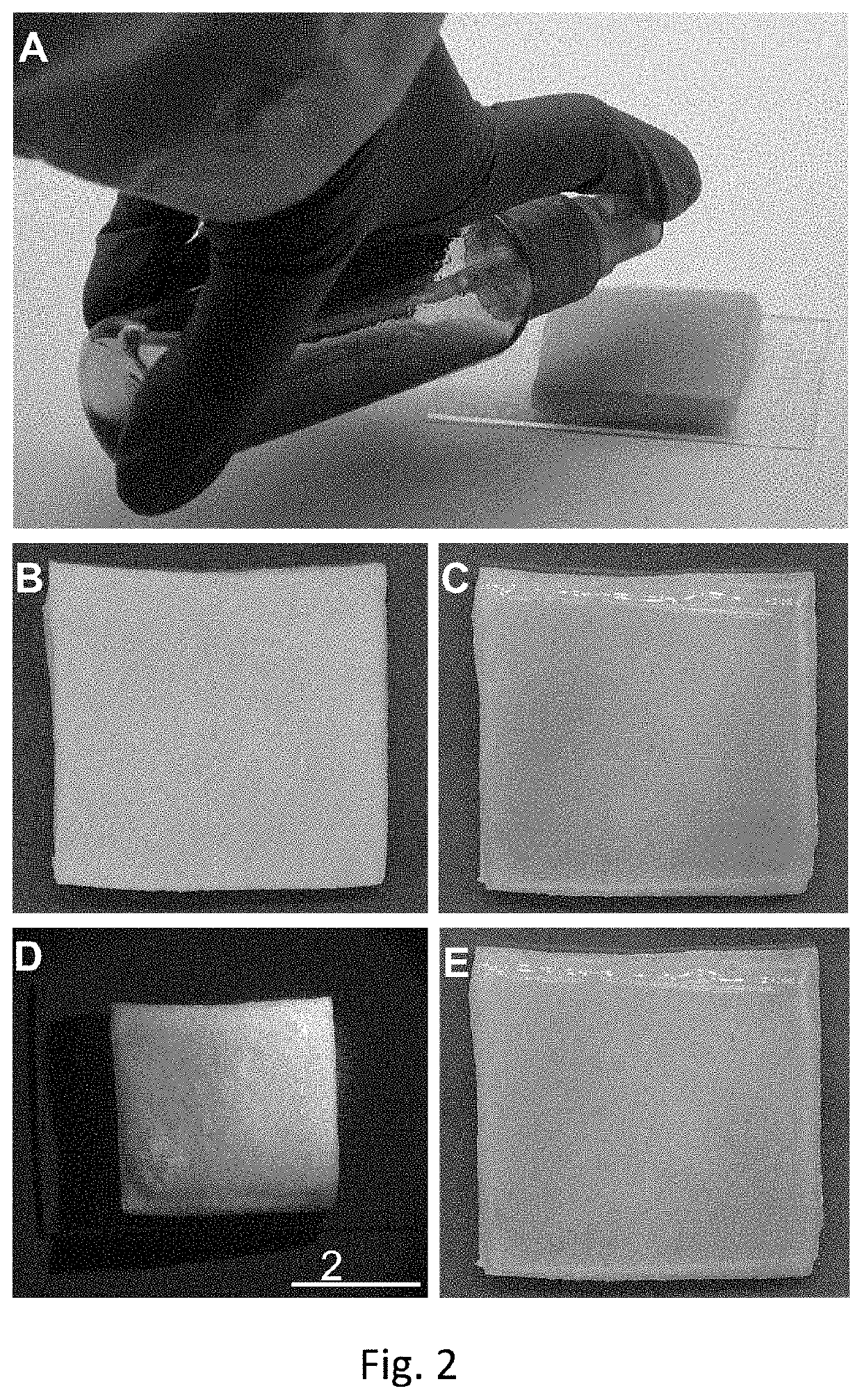 Oxygen-releasing biomaterials, articles and methods