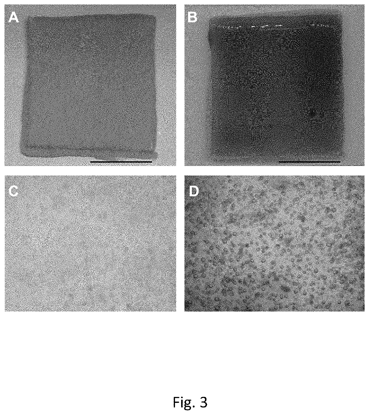 Oxygen-releasing biomaterials, articles and methods