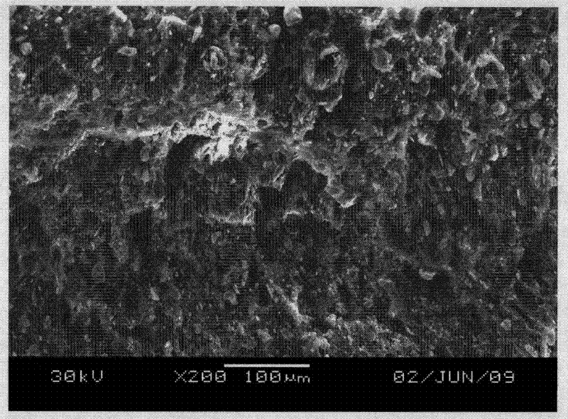 High tenacity low smoke zero halogen flame retardant polypropylene and preparation method thereof