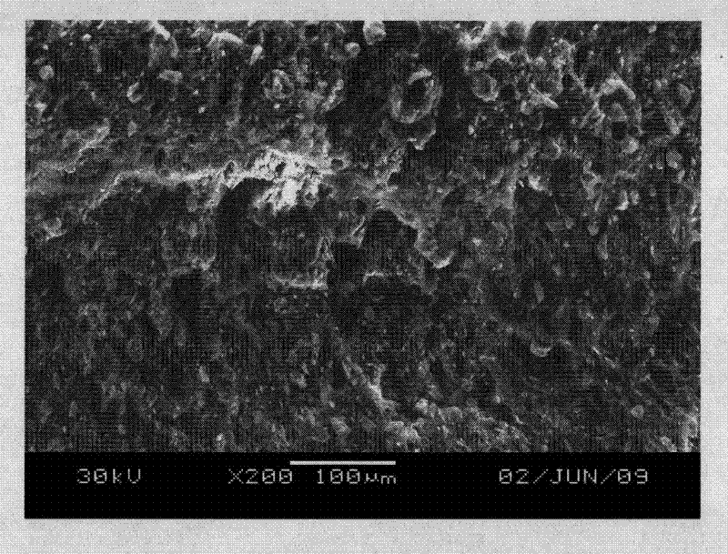 High tenacity low smoke zero halogen flame retardant polypropylene and preparation method thereof