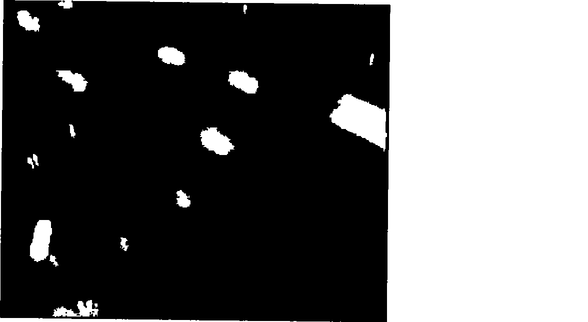 Moving target classification method based on on-line study